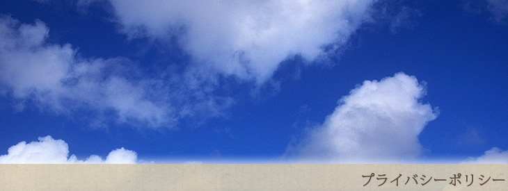 プライバシーポリシー