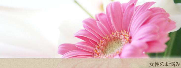 女性のお悩み