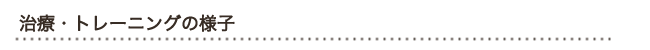 治療とトレーニングの様子